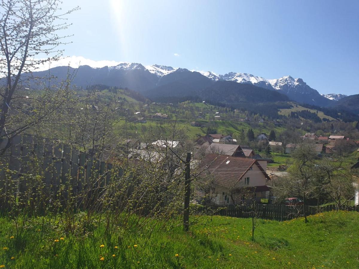 Pensiunea Sarah Bran Бран Экстерьер фото