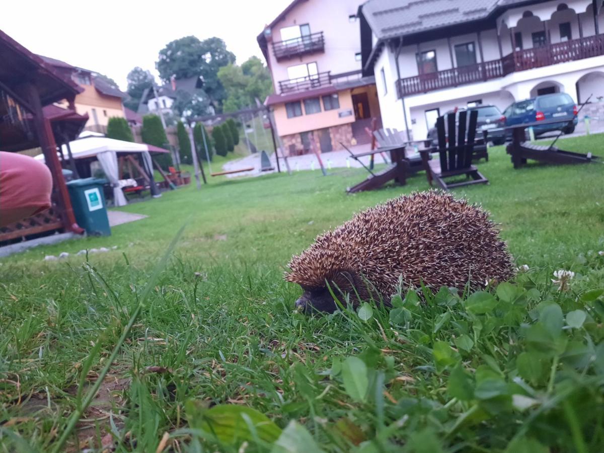 Pensiunea Sarah Bran Бран Экстерьер фото
