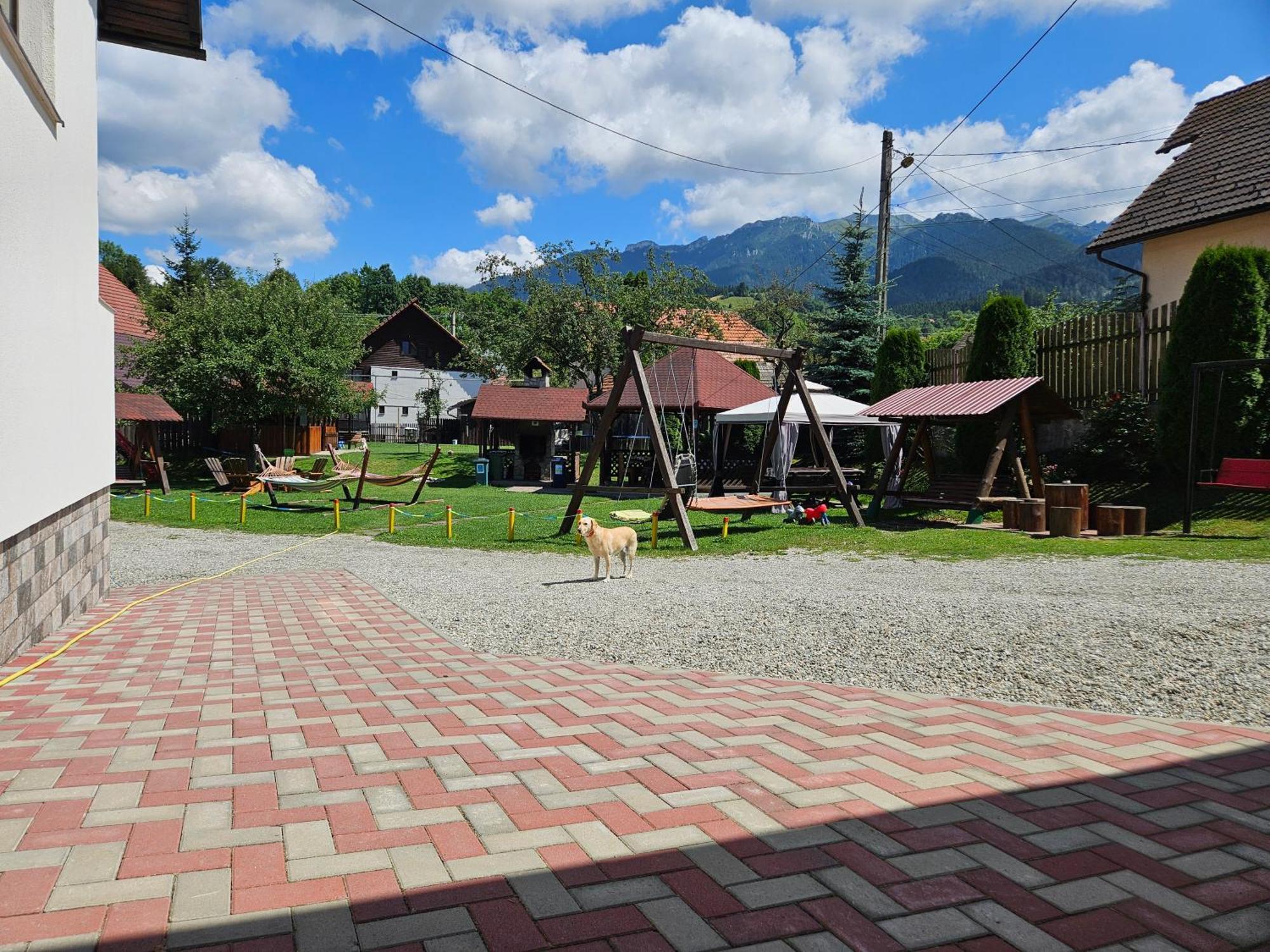 Pensiunea Sarah Bran Бран Экстерьер фото